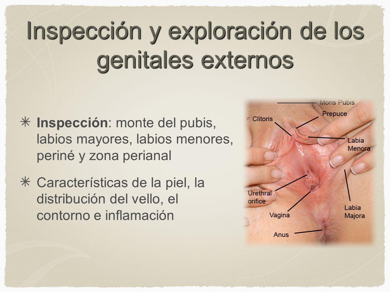 inflamacion zona perineal mujer